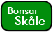 bonsai skåle