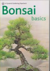 bonsai basics